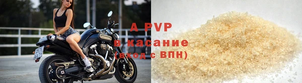 индика Ростов