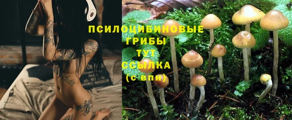 наркотики Верея
