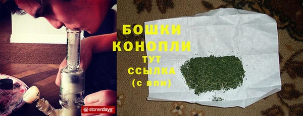 молекула духа Верхний Тагил